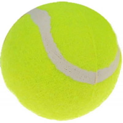 Minge pentru tenis Wilson Sting Gold Lable (WRT135200)