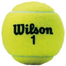 Мячи для тенниса Wilson Tour Comp (WRT102602)