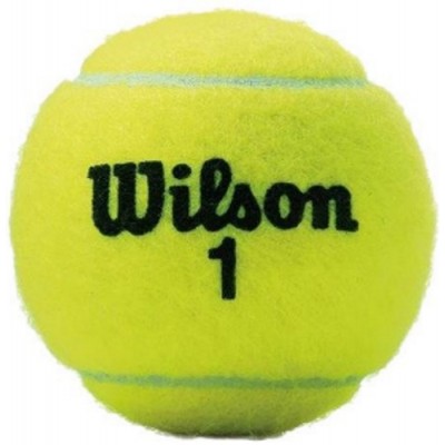 Мячи для тенниса Wilson Tour Comp (WRT102602)