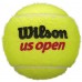 Мячи для тенниса Wilson US Open XD (WRT116203)