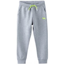 Pantaloni spotivi pentru copii 5.10.15 1M4121 Grey 104cm