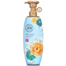 Шампунь для волос ReEn Perfume Seohyang Science 500ml