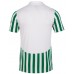 Детская футболка Joma 101873.204 White/Green 4XS-3XS