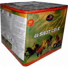 Фейерверк Enigma 49 Shot Cake CID49-01