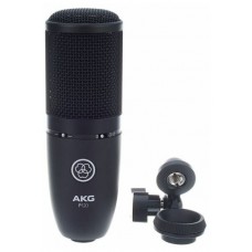 Microfon AKG P120