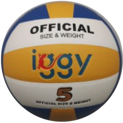 Minge de volei Iggy IGVB-PRO