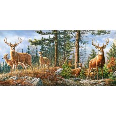 Puzzle Castorland 4000 (C-400317)