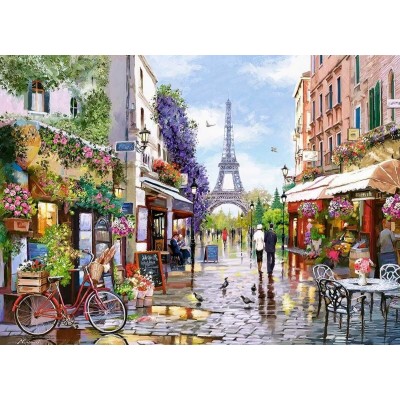 Puzzle Castorland 3000 (C-300525)