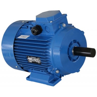 Motor electric Mogilevsk AIR 100 L 750 (10118811)