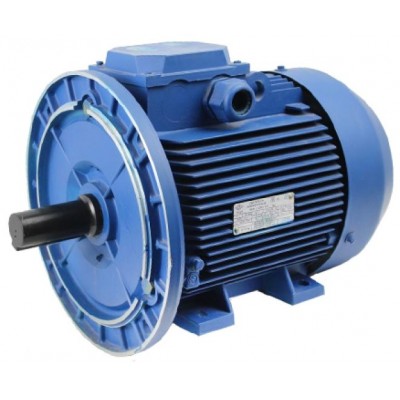 Motor electric Mogilevsk AIR 112 M 1000 (10123621)