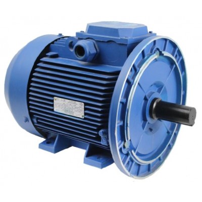 Motor electric Mogilevsk AIR 112 M 1500 (10125421)