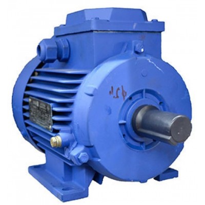 Motor electric Mogilevsk AIR 132 M8 750 (10125811)