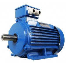 Motor electric Mogilevsk AIR 132 S 1500 (10127411)