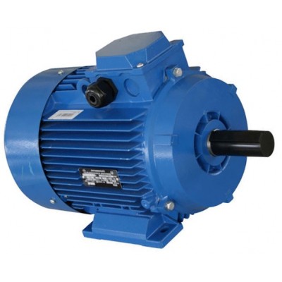 Motor electric Mogilevsk AIR 160 M 750 (10130811)