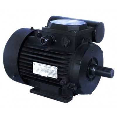 Motor electric Mogilevsk AIRE 100 S 1500 (10820411)