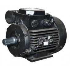 Motor electric Mogilevsk AIRE 71 C 4 1500 (10814411)