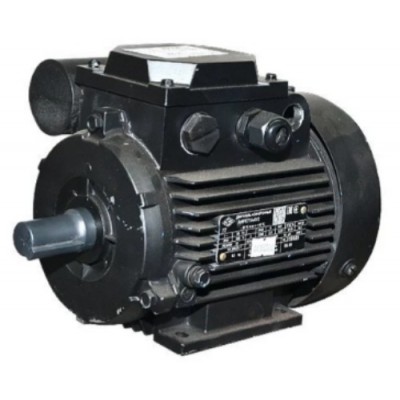 Motor electric Mogilevsk AIRE 71 C 4 1500 (10814411)