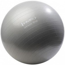 Fitball HMS YB02 55cm Grey