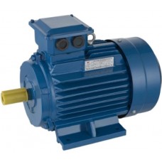 Motor electric Mogilevsk AIS71B2IM1081