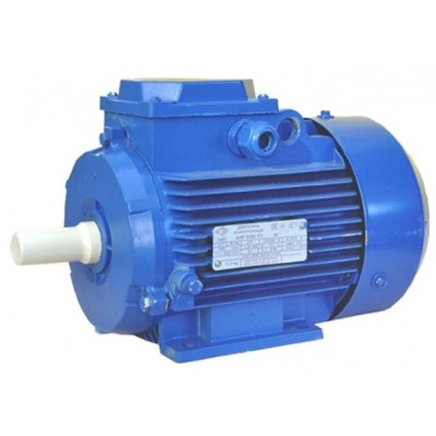 Motor electric Mogilevsk AIS90L4IM1081