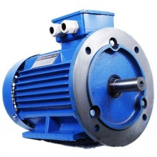 Motor electric Mogilevsk AIS90S2IM2081