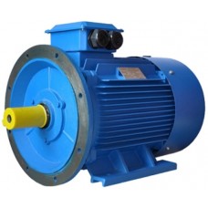 Motor electric Elmos Y2-200L-6