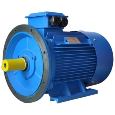 Motor electric Elmos Y2-200L-6