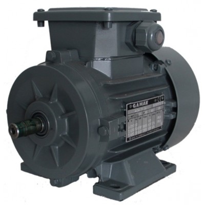 Motor electric GAMAK AGM 160 (G1101003)