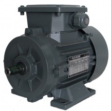 Motor electric GAMAK AGM 100 (G0757503)