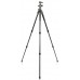 Trepied Vanguard Alta Pro 2+ 263CB 100