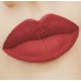 Ruj-creion de buze Golden Rose Matte Lipstick Crayon 09