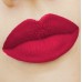 Ruj-creion de buze Golden Rose Matte Lipstick Crayon 16