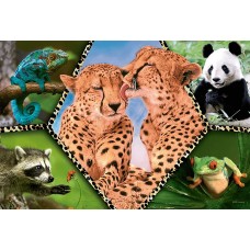 Puzzle Trefl 100 Beautiful Nature (16424)