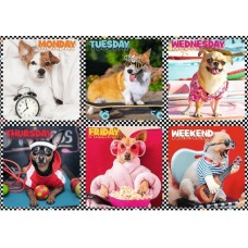 Puzzle Trefl 200 Happy Dogs (13279)