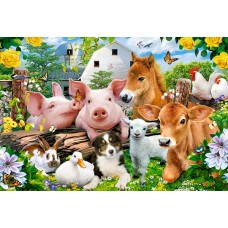 Puzzle Castorland 40 Maxi (B-040339)