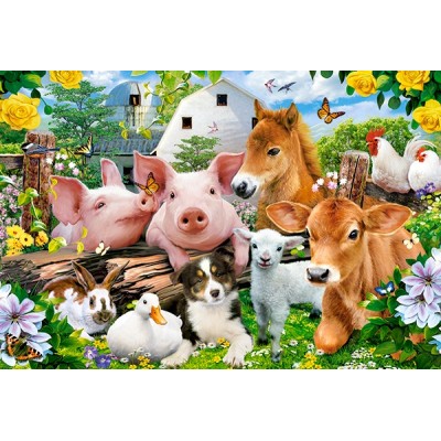 Puzzle Castorland 40 Maxi (B-040339)