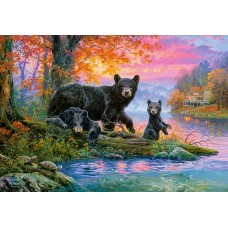 Puzzle Castorland 1000 (C-104727)