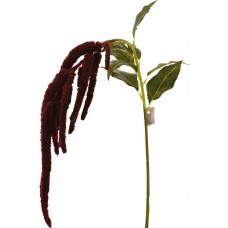 Floare decorativă Casa Masa Amaranthus 110cm Bordo (L19717/RD)