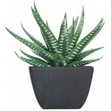 Floare decorativă Casa Masa Aloe 10x12cm (8926401100)