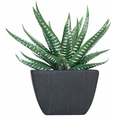 Floare decorativă Casa Masa Aloe 10x12cm (8926401100)