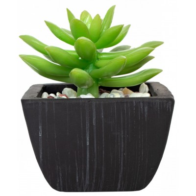 Декоративный цветок Casa Masa Sedum 10x12cm (8923680500)