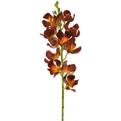 Декоративный цветок Casa Masa Orhidee Cymbidium 47cm (L19607/BR)