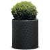 Ghiveci Keter Cylinder Planter M Anthracite (229123)