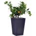 Ghiveci Keter Rattan Planter M Anthracite (228974)