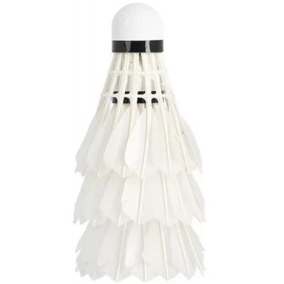 Fluturaș pentru badminton Wish PRO-808 3pcs