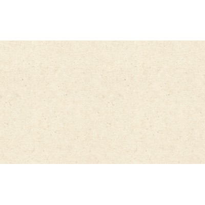 Обои Rasch 974218 Concrete XL