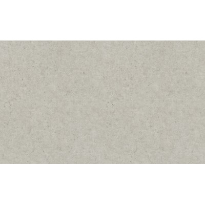 Обои Rasch 974225 Concrete XL