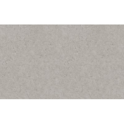Обои Rasch 974249 Concrete XL