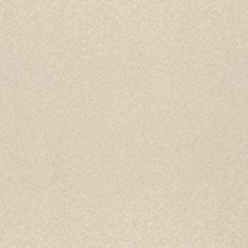 Обои Rasch 975314 Tendencia