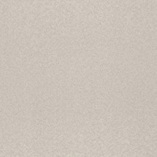 Обои Rasch 975321 Tendencia